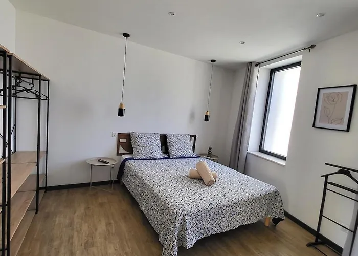 Maison De Charme Avec Piscine-clim-plage A 10min פלורי